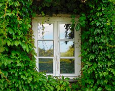 window-1679344__180